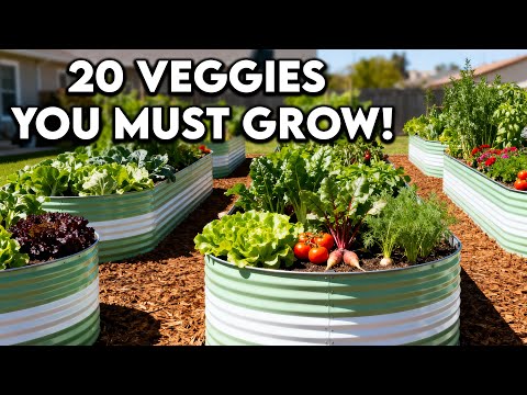 20 Vegetables You Should ALWAYS Grow!