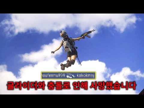 시청자 2,000명을 웃긴 하늘 고라니 ㅋㅋㅋㅋㅋ (배그)