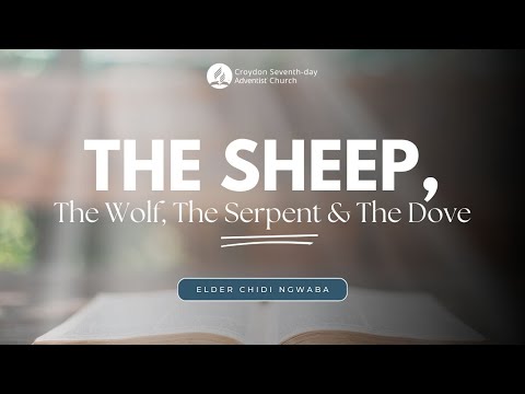 The Sheep, The Wolf, The Serpent & The Dove | Elder Chidi Ngwaba