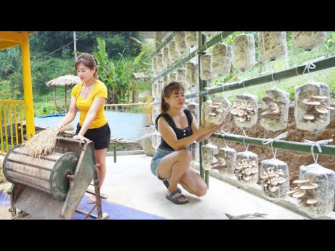 CEO Girl Leaves The City for The Forest: Harvest Sticky Rice, Corn - Grow Mushrooms in 7 Days