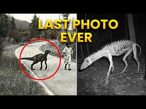 7 Last Photos of Extinct Animals Ever Taken | part 2