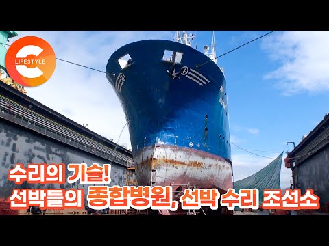 제한된 시간 안에 끝내야 하는 거대한 선박들의 대수술🛳  바다 위 선박 종합병원🏥 ‘수리 조선소'