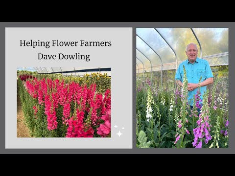 Dave Dowling: Supporting flower farmers and locally grown flowers