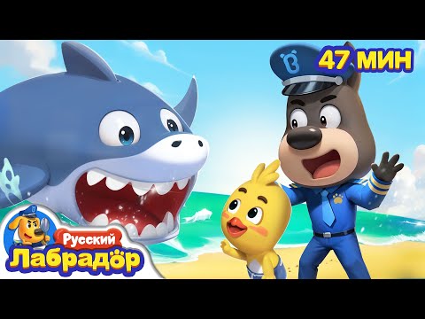 🦈Нападение большущей акулы! | 🚢Безопасность снаружи | 🔍Сборник мультиков для детей | Шериф Лабрадор