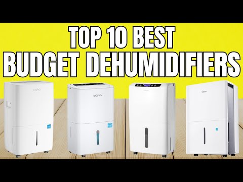 Best Dehumidifiers 2025  – Must Watch Before You Buy One!