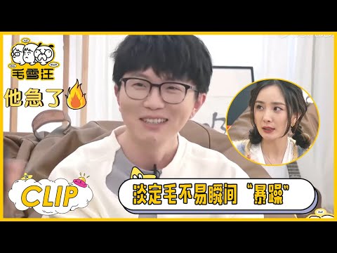 杨幂一句话就让毛不易现场“暴躁”了 |《毛雪汪》