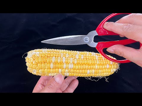 原来玉米上有个小开关，剪刀一转，玉米粒完整脱落，一分钟剥大一盘