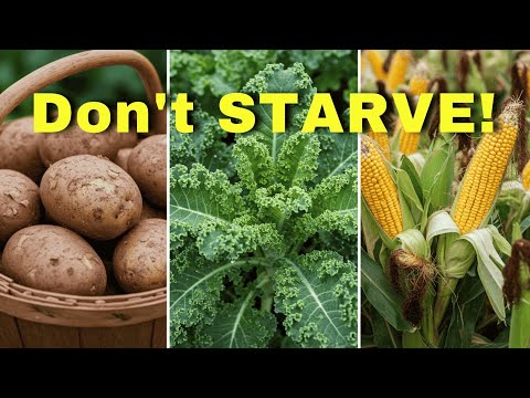 Top 9 Survival Garden Crops to Grow That Will Save You From STARVING