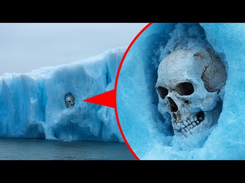 Находки в Антарктиде, которые оставляют экспертов с большими вопросами