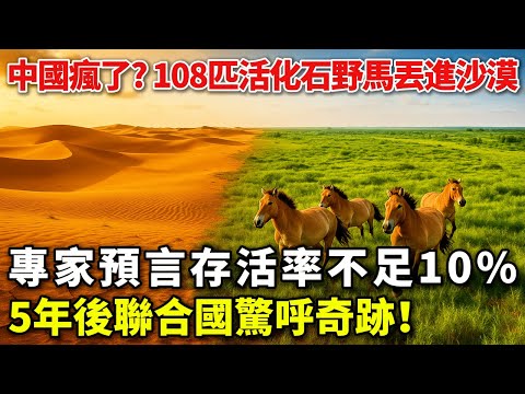中國瘋了?108匹活化石野馬丟進沙漠,5年後聯合國驚呼奇跡!