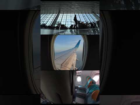 From motorbike wipeouts, to travel days to paddle matches.