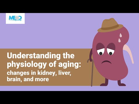 Understanding the physiology of aging: changes in kidney, liver, brain, and more