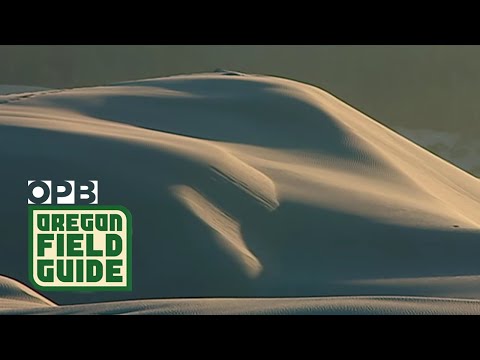 The original sand dunes that inspired “Dune” | Oregon Field Guide from the OPB Archives