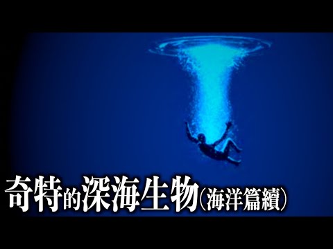 發光、寄生、食腐，來自深海生物的生存之道！