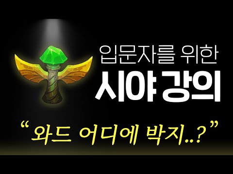 [롤 유저 필수 시청!] 입문자를 위한 시야 강의