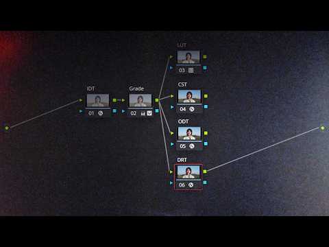 Everybody is WRONG about DRTs