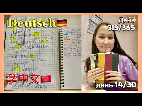 On my own💡Learning🇨🇳Chinese🇩🇪German✨HSK3🔥Day 14/30 #learnwithmyself #motivationandinspiration