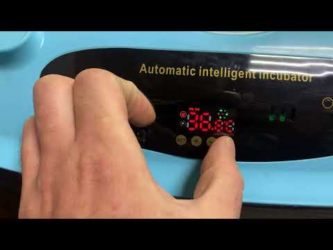Автоматический инкубатор, настройка режимов.