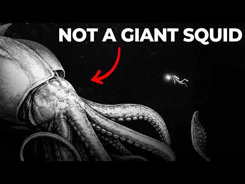 Nothing About Colossal Squids Is Normal... Here's Why