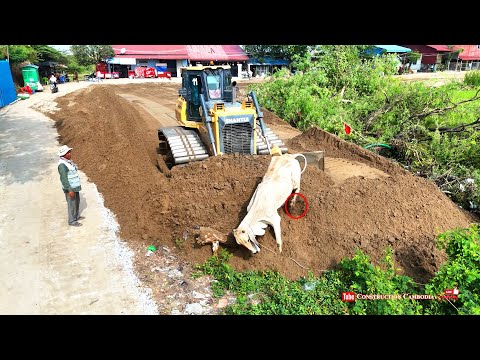 Nicely Complete Sand Filling by Skills Shantui DH17c2 Dozer Pushing Sand And Dump Truck Dumping Sand