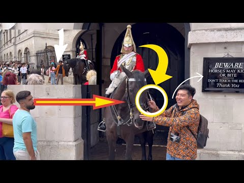 Unbelievable! Disrespectful tourists grab and Pull the king’s guard horse reins