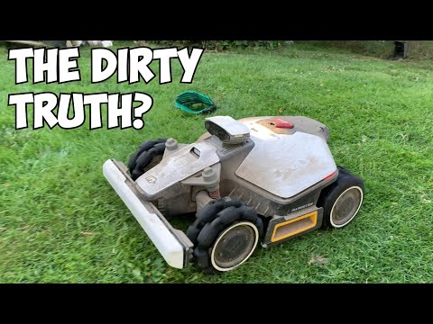 Luba Mini AWD – How It Works for Me After 2 Months