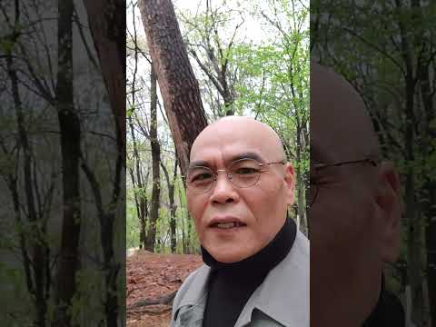 헤겔 / 변증법이란?