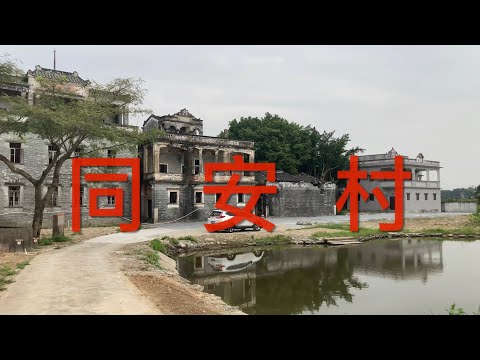 開平之行：遊走在開平塘口鎮一帶。尋找消失的村莊，一條叫同安里的無人村，看看同安里村的狀況 ！