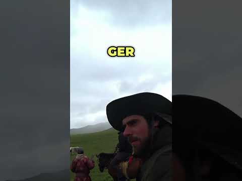 How to sell 3 horses in Mongolia? 🇲🇳 #horse #mongolia #travelvlog