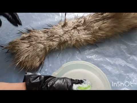 How to clean natural fur. 2 recipes.