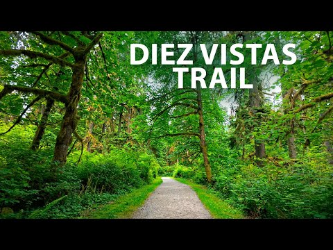Calm & Serene Nature Escape | Virtual Hike on the Diez Vistas Trail in Anmore BC, Canada