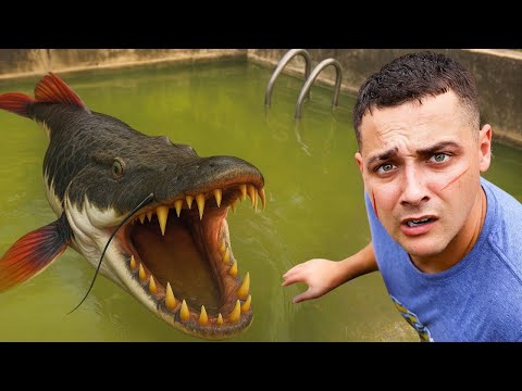 I Found An Abandoned Monster Pond...