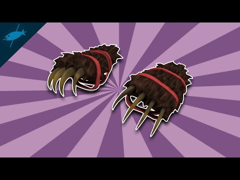 [TF2] Bad Weapon Academy: Warrior's Spirit