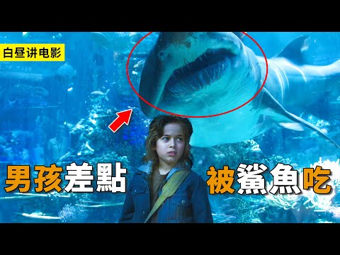 男孩的膽子太大了，敢和鯊魚聊天，還差點被吃掉！