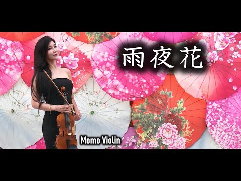 雨夜花 小提琴 (Violin Cover by Momo) 雨の夜の花 バイオリン The Torment of a Flower