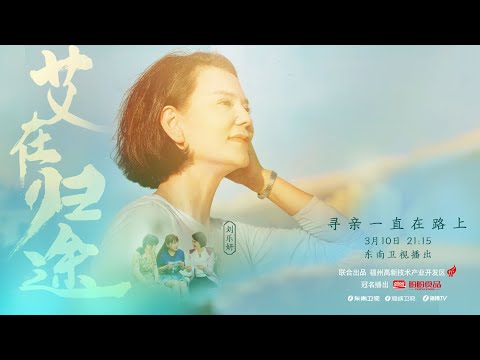 《艾在归途》：台湾女版F4成员追寻祖辈脉络