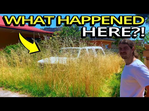 THIS Is What Google Images DOESN'T SHOW YOU!