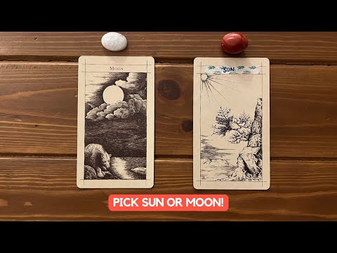 What Is Your Spirit Guide Urgently Trying To Tell You! | Timeless Reading