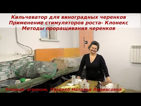 Кильчеватор для проращивания черенков винограда. Как сделать кильчеватор своими руками? Пузенко Н.Л.