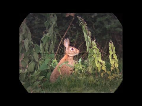The Airgun Show - awesome rabbit hunting, & the NiteVizor VP200 XTR night vision converter on test