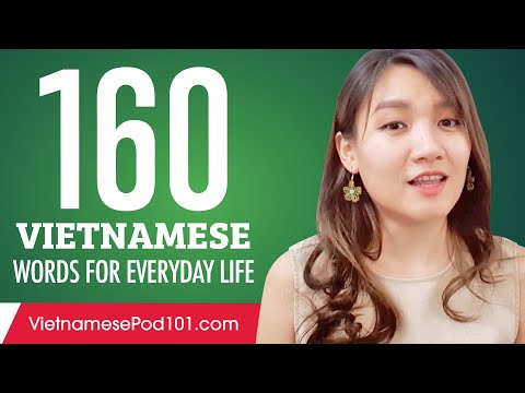 160 Vietnamese Words for Everyday Life - Basic Vocabulary #8