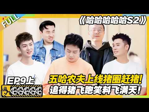 【FULL】哈哈哈哈哈S2 第9期上：五哈化身农夫猪圈赶猪，笑到肚疼停不下来！#哈哈哈哈哈第二季 #哈哈哈哈哈s2 #邓超 #陈赫  #综艺 #搞笑