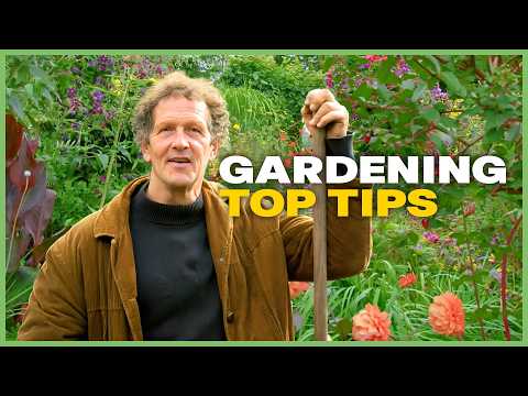 Discovering A Plant Expert's Secret To A Perfect Backyard