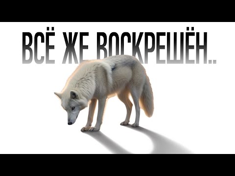 Тотальный разбор ситуации с воскрешением ужасного волка!