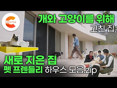 [건축탐구집 펫프렌들리 하우스 모음.zip🏡] 반려동물을 위해 집을 짓고 고친 사람들ㅣ개와 고양이를 부탁해🦮🐈ㅣ건축탐구집