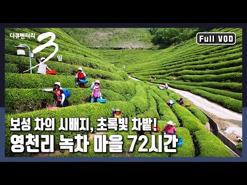 [Documentary 3 Days★Full Version] 🍃The Story of People Living in Tea Fields "Mother's Tears Fall ...