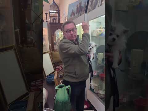 Art Appraisal Guide: How to Spot Valuable Art Like a Pro (Ron McKee's "Beach Dancing" painting)