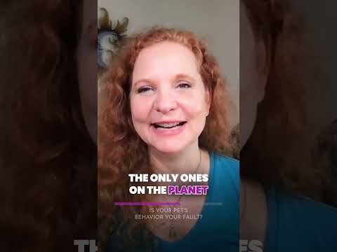 Your Pet's Behavior & Your Energy: A Guide to Animal Communication with Cinimon Clark