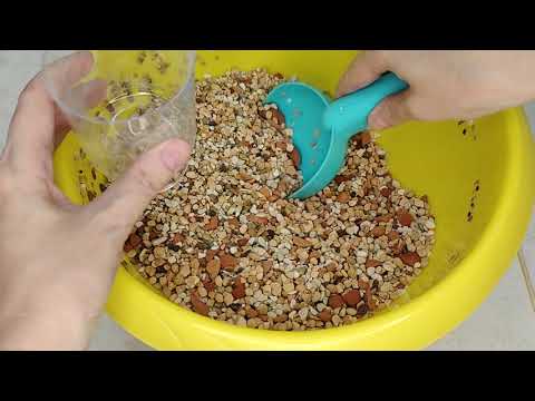 Как приготовить Лечузу самим. Грунт для суккулентов. Аналог Lechuza