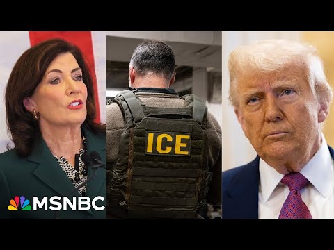 'Has to be stopped': Governor slams 'reprehensible' ICE raids in her state